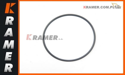 Uszczelnienie CAT pompy 416B 428C 432D 444E 816F 2H-4145 ; Sealing/Seal Ring/ Dichtung/ САЛЬНИК/ Уплотнение/печать/ tarpiklis / tesnenie