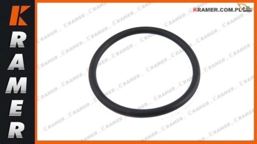 20798076 Oring pod obudowę pompy wody stosowany w maszynachVOLVO BL60  BL61B  BL70  BL71B  EC290B  EC240B EC290C  EC240C  L110E  L110F  L120E  L120F L120G Oring / Оринг / Сальник / O-ring / Joint torique / кольцо уплотнительное