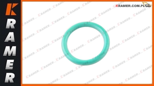 20798827 VOLVOEC140C  EC160C  EC170D  EC180C  EC200B  EC210B EC210C  EC240B  EC240C  EC250D  EC290B EC300D  EW140C EW180C  EW210C L60F  L60G o-ring / кольцо уплотнительное / Seal Fuel Injector / Уплотнение форсунки / Оринг