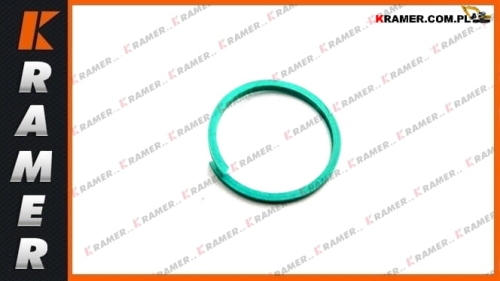 6Y1192 Uszczelnienie walka sprzęgłowego CAT 428B 432E Seal ring/ печать/ dichtung