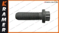 20793558 Śruba pompowtryskiwacza VOLVO EC210B L120G EW160 unit injector bolt/винт насос-форсунки/ vieneto purkštuko varžtas/гвинт форсунки/ birim enjektör vidası