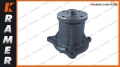 Pompa wody CAT 320D 318C 323D 3066  125-2991  Water Pump / Wasserpumpe / водяной насос / vodné čerpadlo / vízszivattyú / pompa dell'acqua / vannpumpe