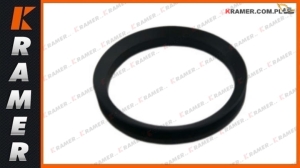 Uszczelnienie kolumny obrotu JCB 803 8027 804 801
