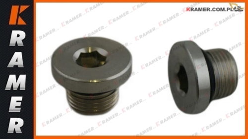 14577793 VOE14577793 Korek spustowy VOLVO  EC200D EC200E EC210C EC220D EC220E EC240B EC240C EC250D EC250E EC330B EC340D EC360B EC350E EC380D EC380E Plug / Заглушка