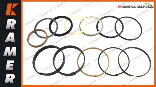 3981893 Pakiet uszczelnień CAT BOOM 324D 325C 325D 329D CAT Cylinder seal kit / Набор Сальник