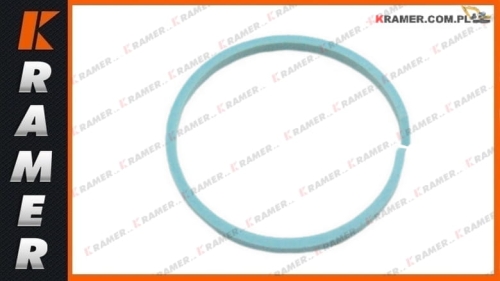 904/50020 Pierścień koszyka skrzyni biegów JCB.
Seal ring