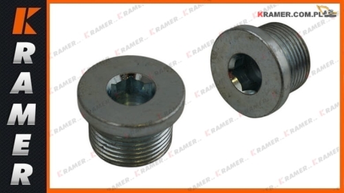 14262071 Korek spustowy zwolnicy VOLVO EC460 EC480D Plug / Заглушка