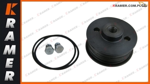 15194931 Zaślepka zacisku hamulcowego VOLVO A25F A30F dummy plug / заглушка / фіктыўны відэлец / lažni utikač / manekeno kištukas