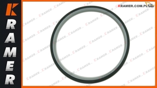 SPN50,5-40,5-4,1 Uszczelnienie tłoczyska 40,5x50,5x4,1 piston rod seal / уплотнение штока поршня / tesnenie piestnice / stūmoklio koto sandariklis / ущільнення штока поршня