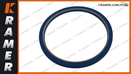 HBY/ZBR110 Uszczelnienie tłoczyska 110x125,5x6,3 piston rod seal / уплотнение штока поршня / tesnenie piestnice / stūmoklio koto sandariklis / ущільнення штока поршня