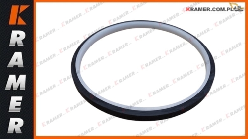 SPN100,5-90,5-5,9 Uszczelnienie tłoczyska 90,5x100,5x5,9 piston rod seal / уплотнение штока поршня / tesnenie piestnice / stūmoklio koto sandariklis / ущільнення штока поршня