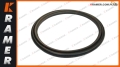 HBTS-95 
Uszczelnienie tłoczyska 95x110,5x5,9 piston rod seal / уплотнение штока поршня / tesnenie piestnice / stūmoklio koto sandariklis / ущільнення штока поршня