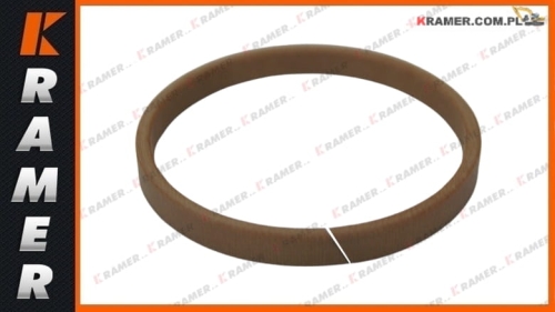 WR55-50-6 Taśma prowadząca tłoczyska 50x55x6 piston rod guide belt / направляющий ремень штока поршня / vodiaci pás piestnice