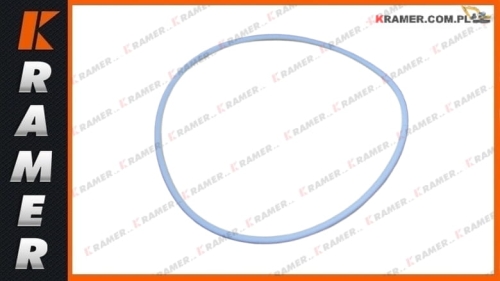 TFG100 Pierścień uszczelniający 100x105x1,25 sealing ring / уплотнительное кольцо / tesniaci krúžok / sandarinimo žiedas / ущільнювальне кільце zamiennik