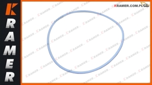 Pierścień uszczelniający 95x100x1,25