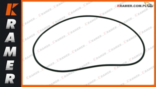 11116983; Oring VOLVO  A35D A35E A40D A40E; o-ring / кольцо уплотнительное / Оринг