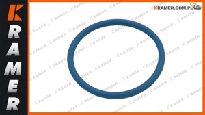 Oring CAT wtryskiwacza 345C 345D 349F D8N