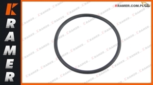 Uszczelnienie napinacza CAT 319D 320D 321D 323D