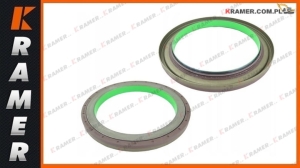 Uszczelnienie flanszy VOLVO A35F A40G A35E