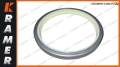 11191135 Uszczelnienie VOLVO A25D A35D A25D SEALING RING