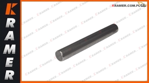 502832  Rolka łożyska satelity TEREX needle bearing / Lagernadel / gultņu adata / guolio adata / csapágy tű / ac de rulment