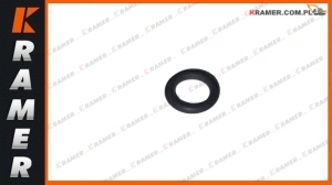 Oring CAT 324E 323F M318F 415 416 424B 972M 966F