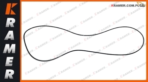 Oring CAT D4D D5M D5N 352F 345C 349 972L 814K 966G