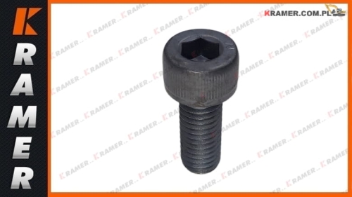 8T1158 Śruba pokrywy CAT D6N D6K 349 323F 320D Bolt / STUD / Bolt self Locking / Болт крепления крестовины