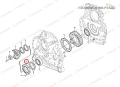 11144101.jpg