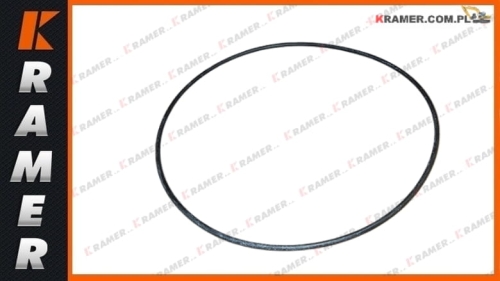 1095700 109-5700 Oring CAT M313C M315C M322C M316C M318C M316D M318C O-ringseal / Oring / Оринг / Сальник / O-ring /