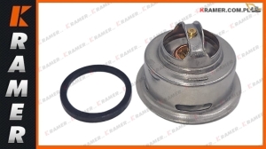 Termostat CAT 312B 320C 323D 320D 314C
