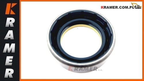 6193433M1 Uszczelnienie wałka ataującego TEREX seal / dichtung / печать / tarpiklis / tesnenie