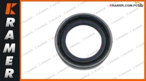 Uszczelnienie półosi mostu CNH B95LR LB110 555E