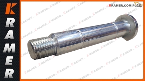 1000267685 Sworzeń łyżki NEUSON ET18 1404 ET16 ET20 ET24 EZ17 Bucket Link Pin / Палец / kanál csap / bolt / stift