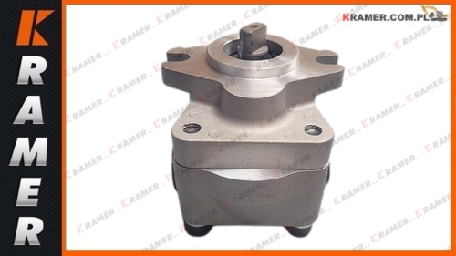 4I1023  4I-1023  Pompa hydrauliczna zębata CAT 312 315 317 Współpracuje z silnikami CAT 3046 3054 hydraulic gear pump / hydraulické zubové čerpadlo / hidraulična zupčasta pumpa / hidraulinis krumpliaratinis siurblys / hydraulisk kugghjulspump /
