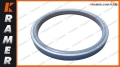 11103124 Uszczelnienie zwolnicy VOLVO A25D A30D A25E A30E A30F A35D A30F sealing ring / уплотнительное кольцо / tesniaci krúžok / sandarinimo žiedas / ущільнювальне кільце