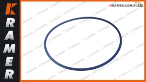 Oring CAT 395 374 M325D 990K C9