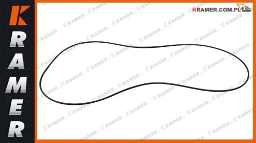 8D5096  8D-5096 Oring CAT D5HD4H D6N D6M O-ring seal / Оринг / inel de etanșare / tömítőgyűrű /