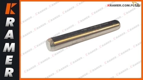 320/07038 Sworzeń pompki JCB 3CX 4CX DieselMax Fuel pump pin / Čap palivového čerpadla / Zatik pumpe zagorivo / Kuro siurblio kaištis / Штифт паливного насоса