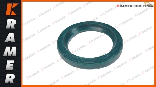 196066A1 Uszczelnienie CASE CNH 590L 590SL 580SM seal / dichtung / уплотнение / tarpiklis/ tesnenie/ garnitură / tömítés