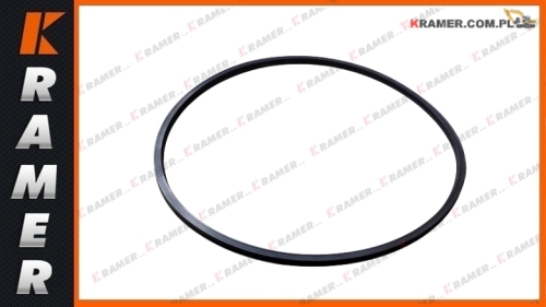 2384702 238-4702 Oring CAT OEM M323F M325C M315C M315D M322D M317D M320F M316F M316D M320D M324D M313C M314 M315 M318D M322F M314F M322D M322C M330D M322 M318C M320 M318F M318 M319 M316 M317 M318C  O-ring seal / Оринг / inel de etanșare / tömítőgyűrű /