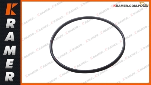 13925095  VOE13925095 Uszczelnienie pompy wody VOLVO A20C A25C A35D A40D EW150C EC200 EC230B EC420 EC300 EC340 L70C L220D L70D L180D L50B seal ring /  tesniaci krúžok / brtveni prsten / sandarinimo žiedas / blīvgredzens / ущільнювальне кільце /