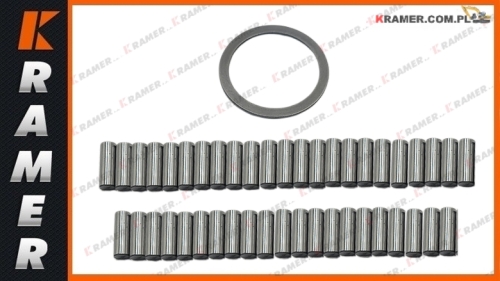 4881319  VOE4881319 Łożysko VOLVO koła zębatego zwolnicy A20C A35F A25G A25E A25F L90B L120BA25C A25D A20 Bearing Kit/ Bearing/ Lager/ подшипник/ rotolamento/ Roulemen