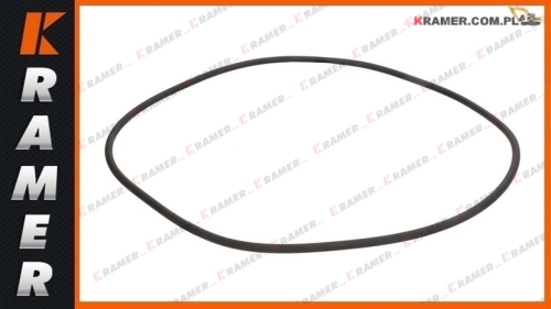 CA0142207 OEM 371144A1 11716586 VOE11716586 142207 Uszczelnienie KOMATSU VOLVO OEM VOLVO BL60 BL60B BL61 BL61B BL70 BL70B BL71 KOMATSU WB91R-5 WB93R-5 WB97R-5 seal, brake piston / Rubber Seal Wet Brakes / Уплотнение тормозного цилиндра / kolbendichtung