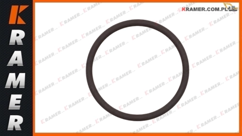 982194 /  VOE982194 Oring VOLVO A25D A30D A35D A40D A25E A30E A25F A30F G930 G940 G946 G960 G970 G976 G990 G930B G940B G946B G960B G930C G940C G946C O-ring seal / Oring / Оринг / Сальник / O-ring