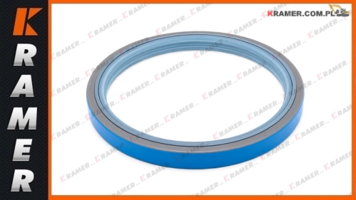 11103269 OEM  VOE11103269 Uszczelnienie mostu VOLVO A20 A20C A25 A25B A25C A25D A25E A25F L105 Seal ring/ dichtung/ Уплотнение моста
