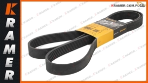 Pasek wielorowkowy LIEBHERR CONTI A914 A924 R924B