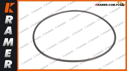 0634313972 Pierścień ZF LIEBHERR A316 A900 A914 A918 A924 locking ring/стопорное кольцо/fiksavimo žiedas/låsring