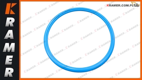 1675066 Oring VOLVO A25D A25E A25F A25G A30D A30E A30F A30G A40E A40F A40G A45G EC290B EC340D EC350E EC360B EC480E EC700D EC950E L60H L70E L70H L90E L110G L110H L150E L150G L180E L180G L330E L330H O-ring seal / Оринг / inel de etanșare / tömítőgyűrű /