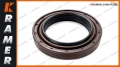 4458761 1382172 138-2172  445-8761 464-3666  Uszczelnienie CAT OEM CARRARO CAT Shaft Seal / Tesnenie hriadeľa / Brtva vratila / Veleno sandariklis / Axeltätning / Ущільнення вала / Tengelytömítés /